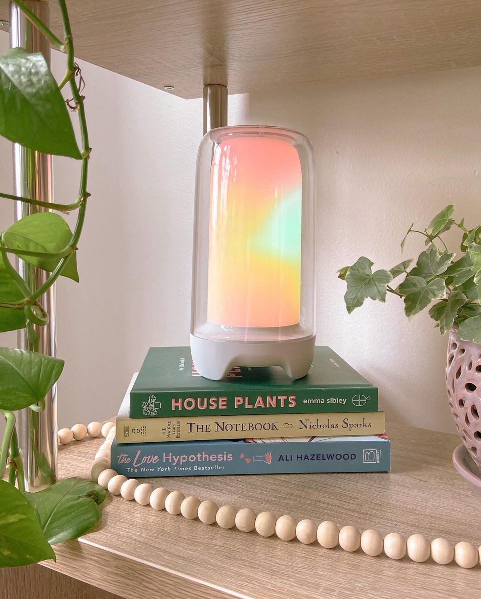 cheyleif's tweet photo. 🌱updated shelves with a new light thanks to @Ecolor_Official for the gift 🌿 details below 🤍 https://t.co/Qop52IFiWs