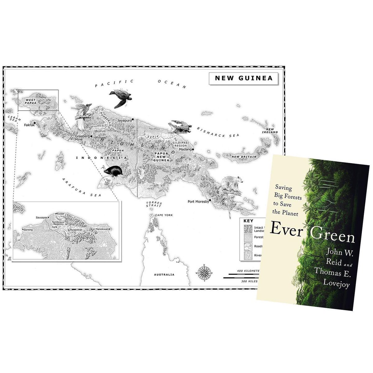 HandMadeMaps's tweet photo. Published this week in the US, illustrated by Hand Made Maps : “Ever Green : Saving Big Forests to Save The Planet” by John W Reid and Thomas E Lovejoy. #wwnorton #illustratedmap #forestconservation #forests @wwnorton #worldforests #biodiversity #amazonrainforest https://t.co/j8hEVxfwyR