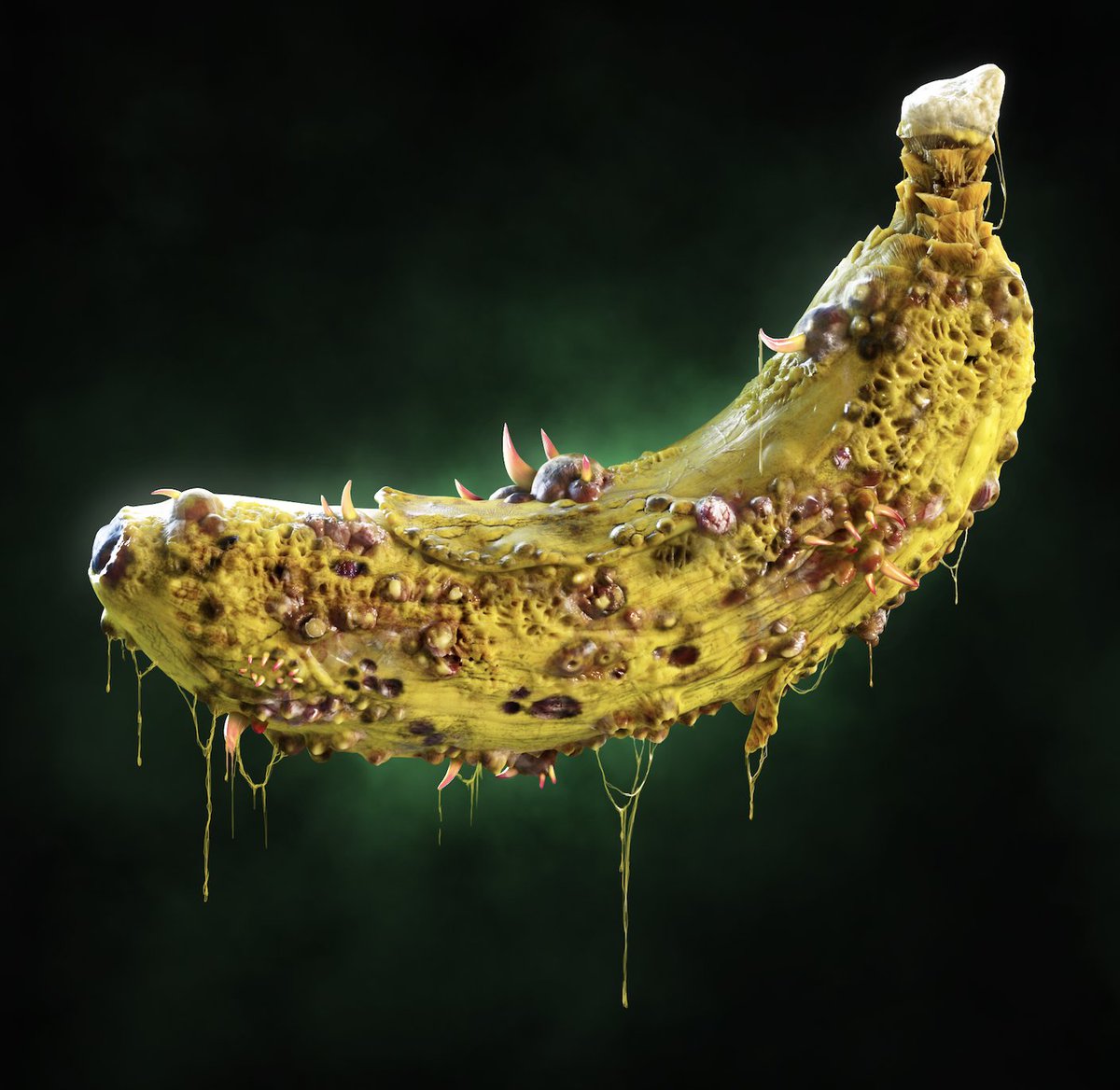 PRIME PLANET tweet media