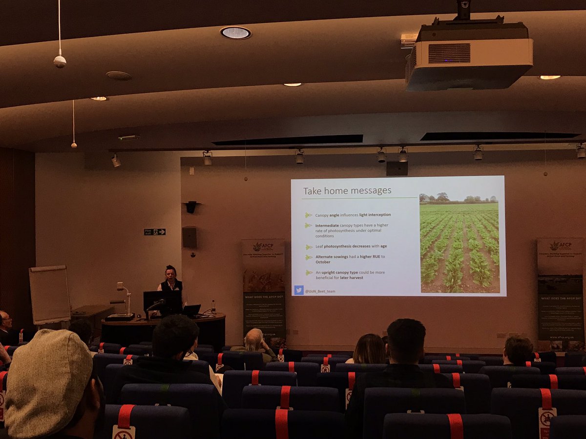 James_Fortune11's tweet photo. Sugar beet canopy type (upright or prostate) influences light use efficiency!!!

Cultivars with different canopy type could be more beneficial for different harvest dates!!! 

Thank you Lucy Tillier from @UoN_Beet_team !!! https://t.co/aw6O92PEpw