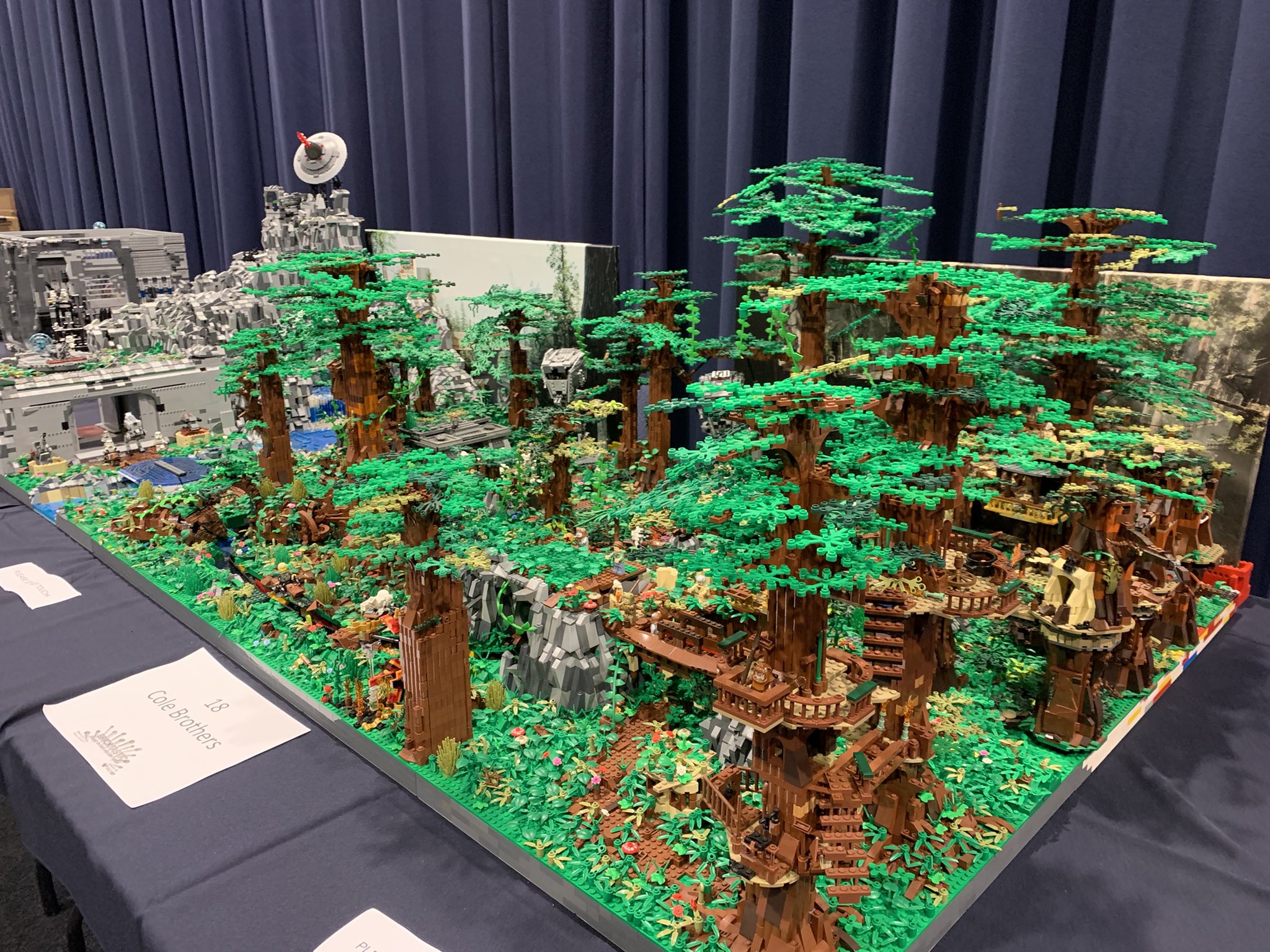 Brick Alley LEGO User Group on X Part of the Cole Brothers huge LEGO Star Wars scenes on display at Bricktastic 2022. Those trees are huge lego legostarwars starwars https t Saa9UzkVJQ X