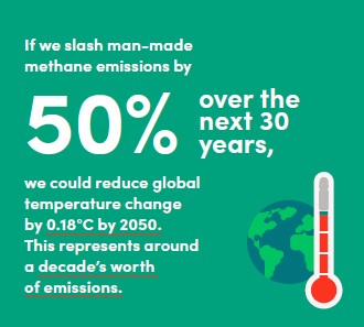 Climate Group tweet media
