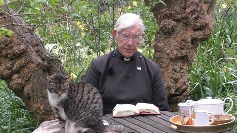 ‘Lynn, you couldn’t present a cat.’