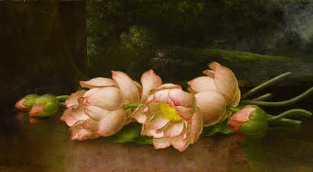LordFredericLe1's tweet photo. This is Martin Johnson Heade's amazing 1885 painting, Lotus Flowers: A Landscape Painting in the Background!!!! #Art #Fineart #Flowers #Painting #Landscape #Artist #Heade #Painter #HudsonRiverSchool https://t.co/63DpNHcLQz