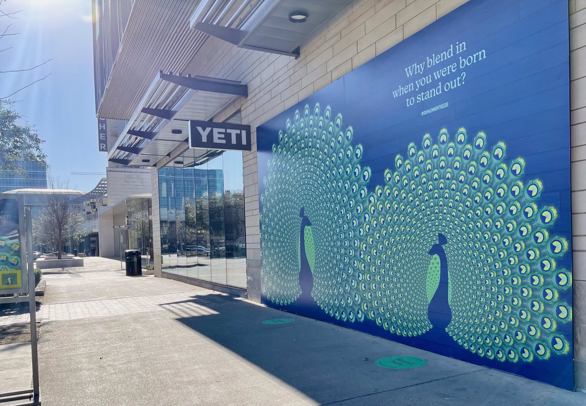 Standard_Domain's tweet photo. Photos and shopping? 📸🛍    #Standardatdomainnorthside #thisisnwrliving #photography https://t.co/ASf1SrjZsg