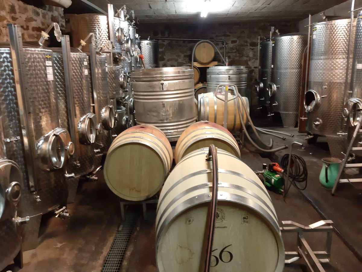 Der Jahrgang 2020 verlässt seine Fässer und wandert auf die Flasche. #Spätburgunder #66Grad #Rheingau