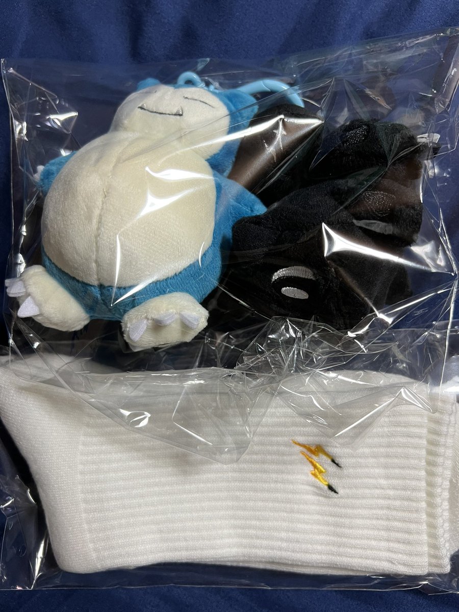 sarusaru2009's tweet photo. オーダーしてた商品が来ました
カビゴンとカメックス思ったよりデカイw
靴下はいい感じなので合わせやすい
#thanderbolt
#ポケモン
#Pokémon https://t.co/uUidW5X2eB