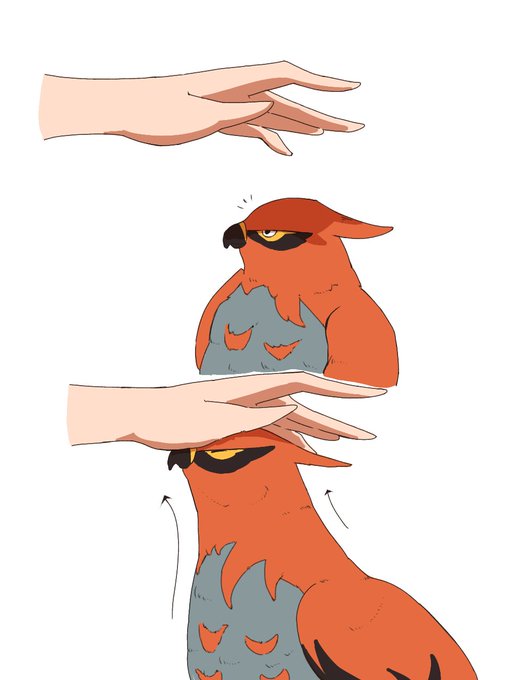 鳥って伸びるんですよ 