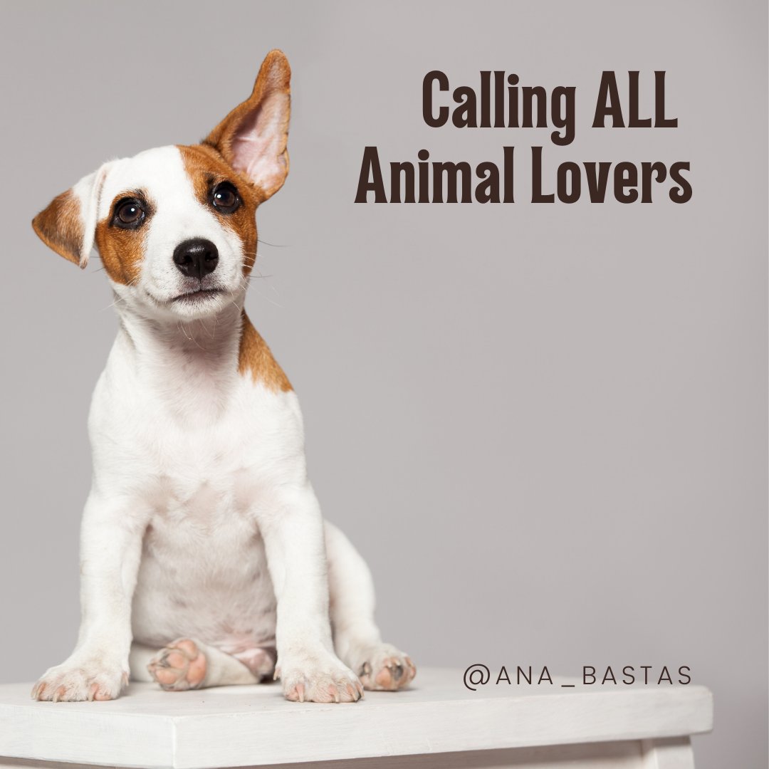 ABLuxRealty's tweet photo. FOR SALE - Serving York Region Since 1998. Very Successful Business With Referrals From Numerous Veterinarians In The Thornhill, Richmond Hill, Markham, North York, And Toronto Areas. Turn Key Business. Great For Experienced Or Animal Lovers Looking For A New Career. https://t.co/qa9eFtjlqs