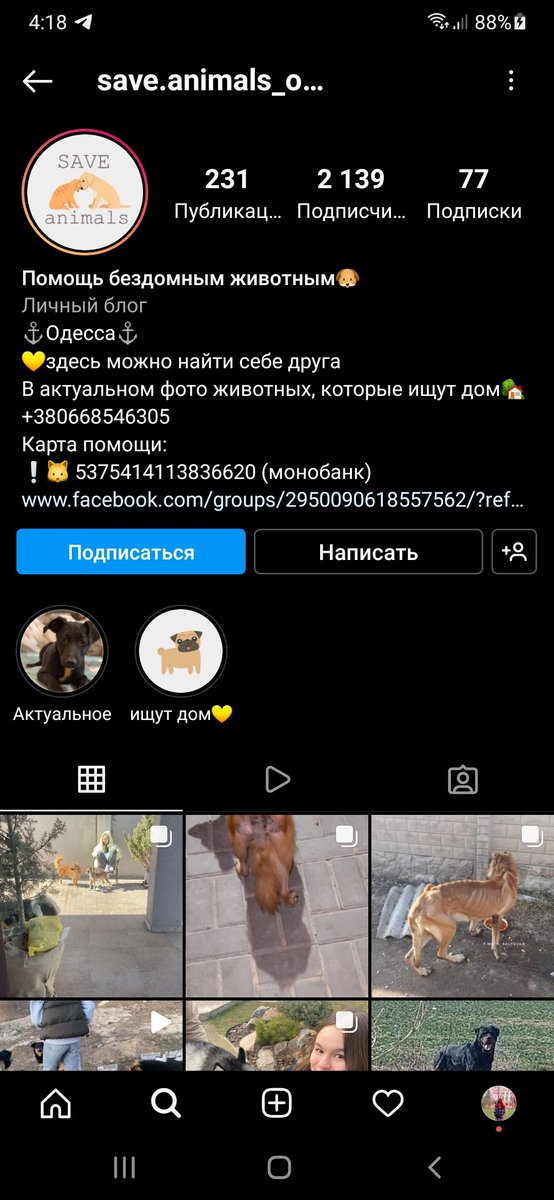 eoduun_ag's tweet photo. ‼️Допоможіть, будь ласка!
Рятують та годують котиків та песиків в Одесі та області 
#Одеса 

Картка моно: 5375 4141 1383 6620 https://t.co/bSv8XpDV0Z