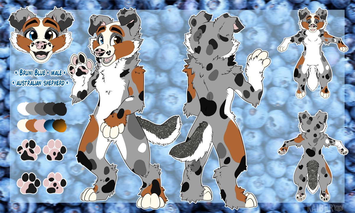 searathewolf's tweet photo. And done! Finished ref for my new boy Bruni! https://t.co/tFqloxuKh2