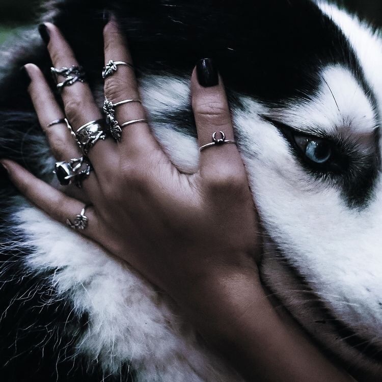 Dinomite🦖🧨 (@dinogodwhale) on Twitter photo 