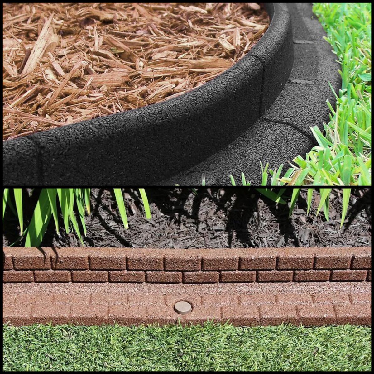 If the omicron variant was a landscape product.  

Sneaks up on you and it’s everywhere!