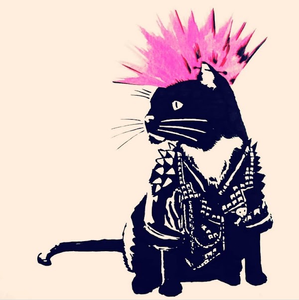 NFTBrazilNFT's tweet photo. Punkat
By n35um1 on BRAZIL NFT 🇧🇷🇧🇷🇧🇷
  
CHECK IT OUT HERE TO SEE MUCH MORE:
https://t.co/zAfTPsXuB5

👉@opensea
👉@0xPolygon

#NFT #NFTCommunity #NFTLAUNCH #NFTs #NFTCollection #NFTartist #cryptocurrecy #NFTdrop https://t.co/RNWcxiqagZ