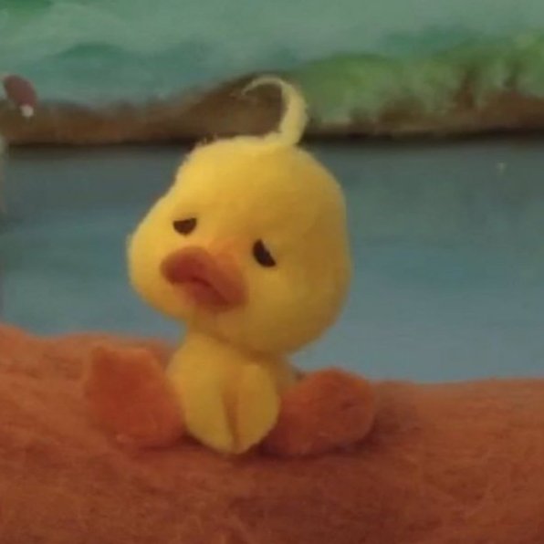 KTYfoIder's tweet photo. lil ducky is sad https://t.co/he2650HL8O
