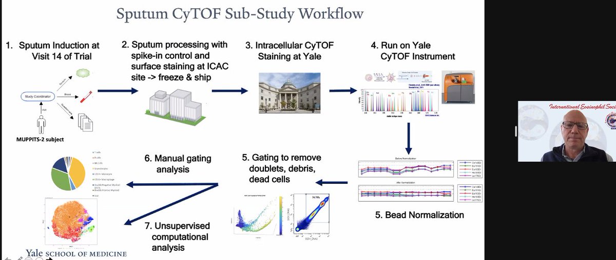 EosinophilSoc's tweet photo. .@gchupp giving a fantastic talk on CyTOF deep profiling #asthma sputum #IESWebinar #IES2022 https://t.co/2TMg9vRN2v