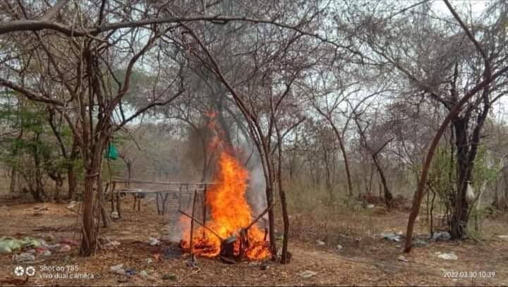 Junta forces raided &amp; torched an old PDF camp between ThetKalKyin &amp; Palin vlgs in Sagaing's Monywa tsp ar 10am on Mar30, seized weapons, destroyed houses and used some locals as human shields, forcing locals to flee. #2022Mar30Coup #WhatsHappeningInMyanmar