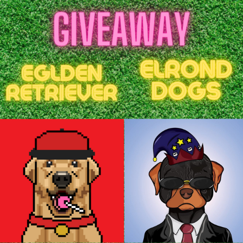 The EGLDen Retriever - Minting Now!! tweet media