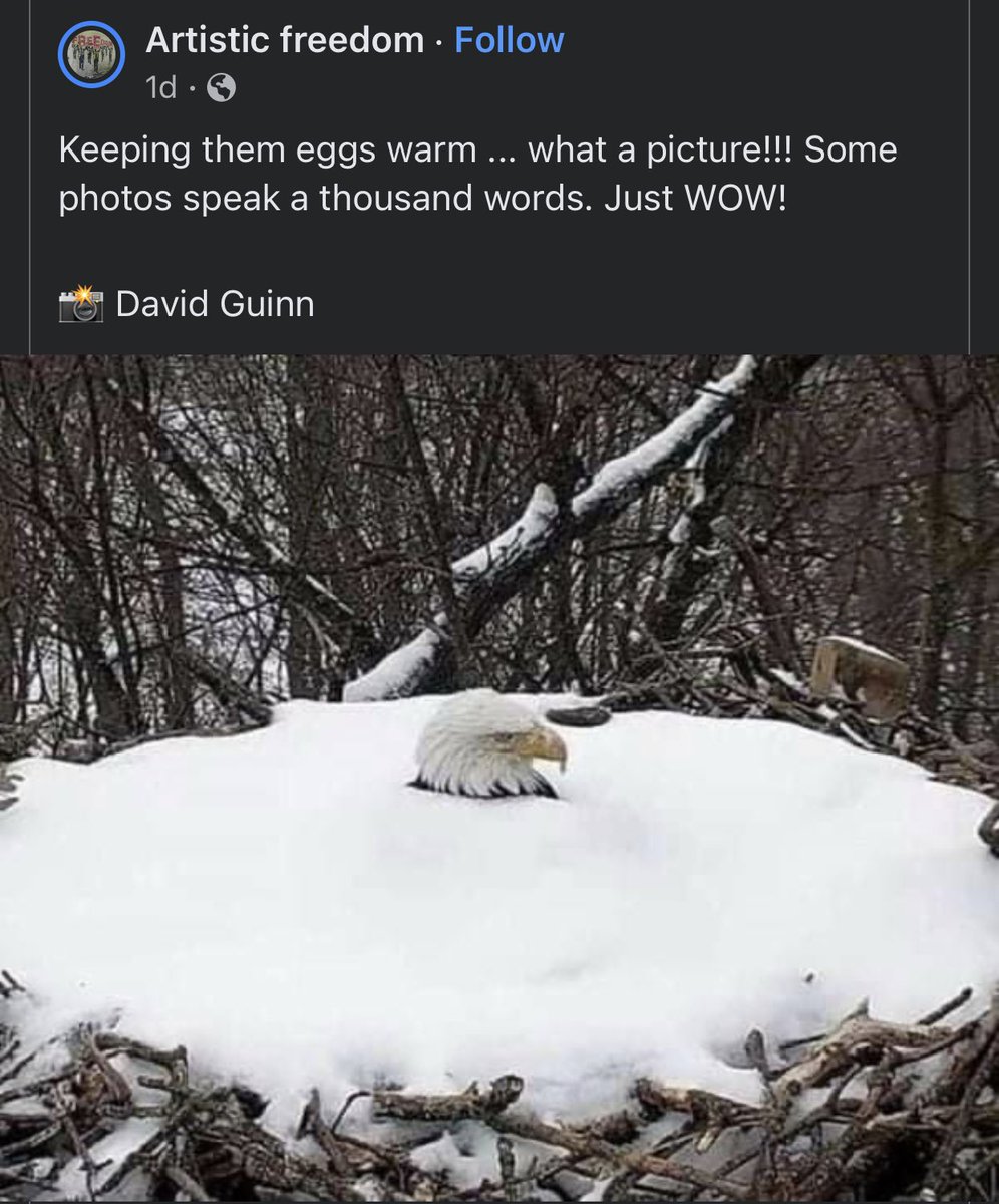 This photo preaches a loud message 💪💪💥 #WednesdayFeeling #Preach #Eagle