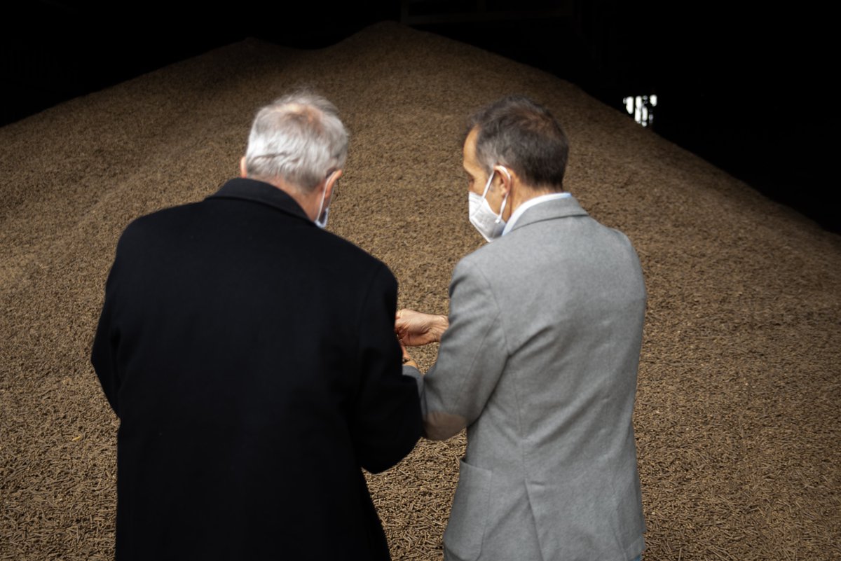 No todo van a ser videoconferencias, hoy Fotos