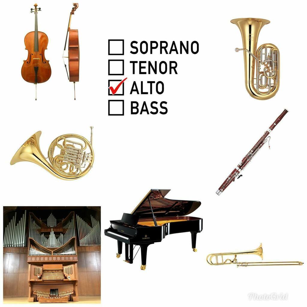 Your quarter-finalists! Vote in the story above to see who continues on to the semis 😯 #marchmadness #bracket #quarterfinals instagr.am/p/CbuyYQkrAJ4/