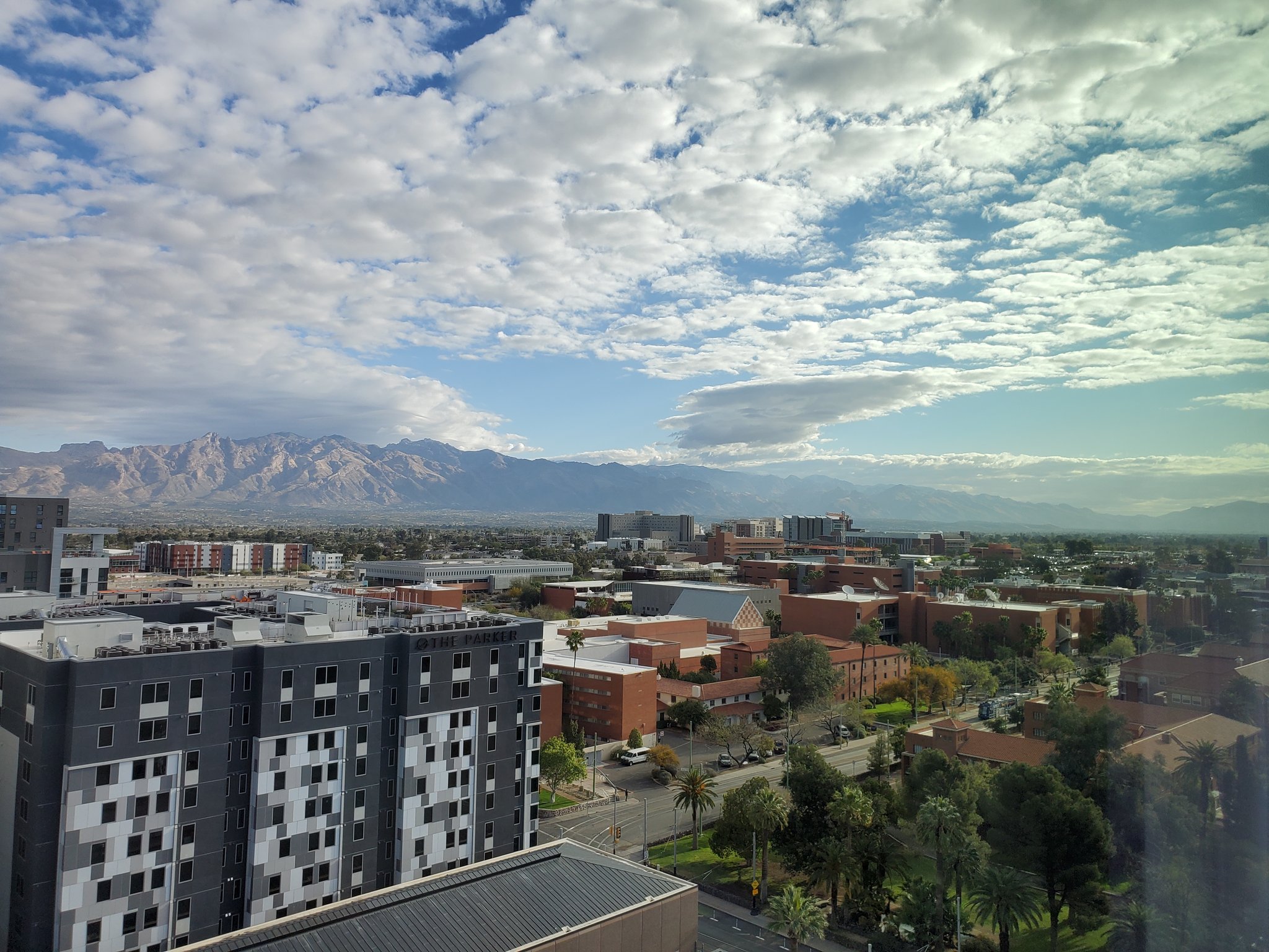 Maggie Cawley on Twitter: "Good morning Tucson! #sotmus  https://t.co/btHVFkuTTV" / Twitter
