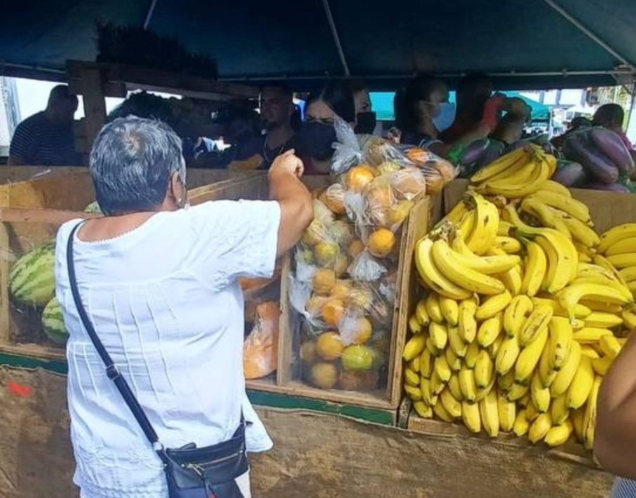 prsecfamilia's tweet photo. Las familias en Cidra disfrutan hoy del Mercado Familiar con productos frescos cosechados en nuestra tierra. Estamos en los predios del Estadio Jesús María Freire. En este Mes de la Nutrición y todo el año, les exhortamos a adquirir alimentos nutritivos para proteger la salud. https://t.co/fWT4MLFz7H
