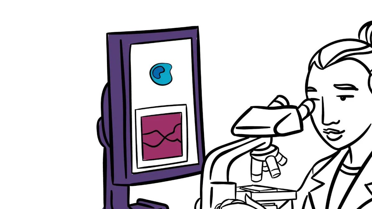 wecanruby's tweet image. Grading and staging are often used together, but what&apos;s the difference? #RUBYglossary #wecanRUBY #YWBC

buff.ly/3tFAeGv