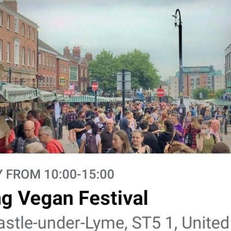 Taylorsfreefrom's tweet photo. We've got a few busy days ahead getting ready for the Spring Vegan Festival in #newcastleunderlyme on Sunday with lots of our #glutenfree #vegan pies, quiches, porkless pies and lemon curd https://t.co/fnQhzosMYo