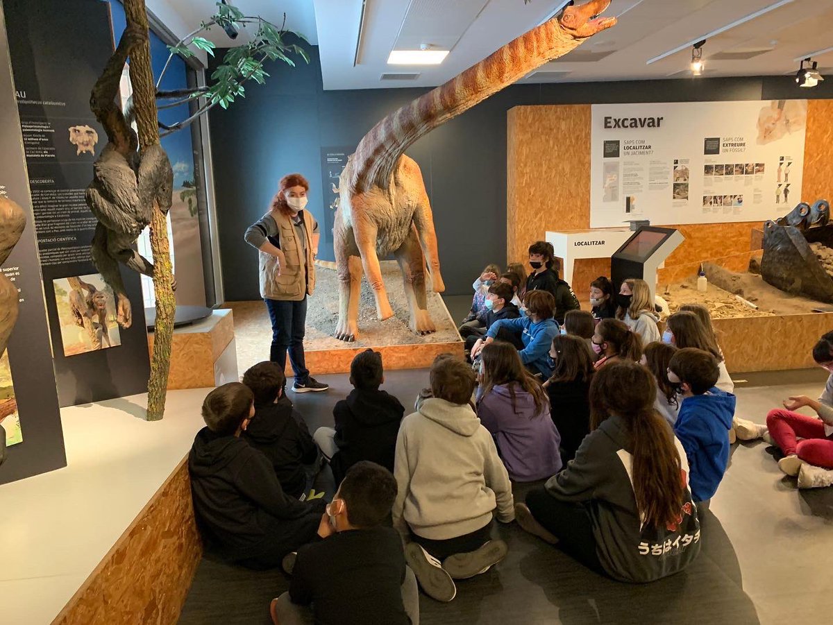 VedrunaTona's tweet photo. PALEONTÒLEGS EN PROCÉS! 🦖
Ahir l’alumnat de 4t de Primària va visitar el Museu Palentològic de Sabadell en motiu del treball que han iniciat sobre la Prehistòria!
Quin goig de museu! ❤️
#SortidesEVT #PrimàriaEVT #quedemaVedruna https://t.co/XZ6Ih3WGgB