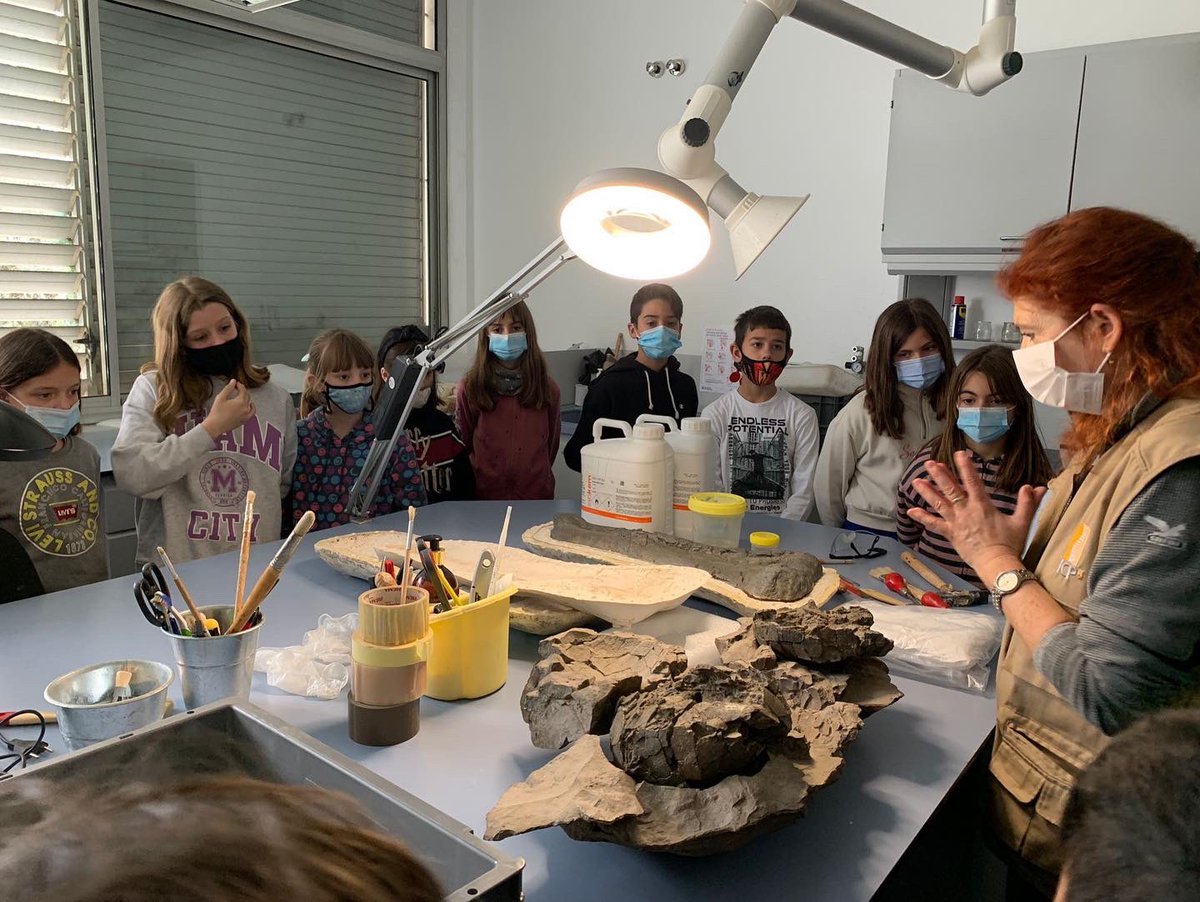 VedrunaTona's tweet photo. PALEONTÒLEGS EN PROCÉS! 🦖
Ahir l’alumnat de 4t de Primària va visitar el Museu Palentològic de Sabadell en motiu del treball que han iniciat sobre la Prehistòria!
Quin goig de museu! ❤️
#SortidesEVT #PrimàriaEVT #quedemaVedruna https://t.co/XZ6Ih3WGgB