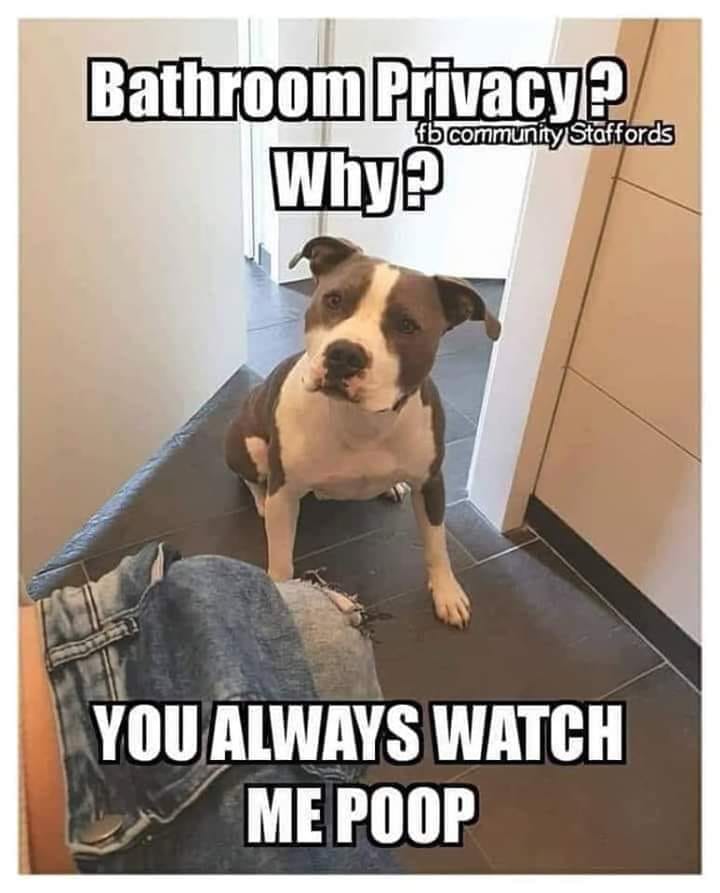 Yeah, what's the problem?
