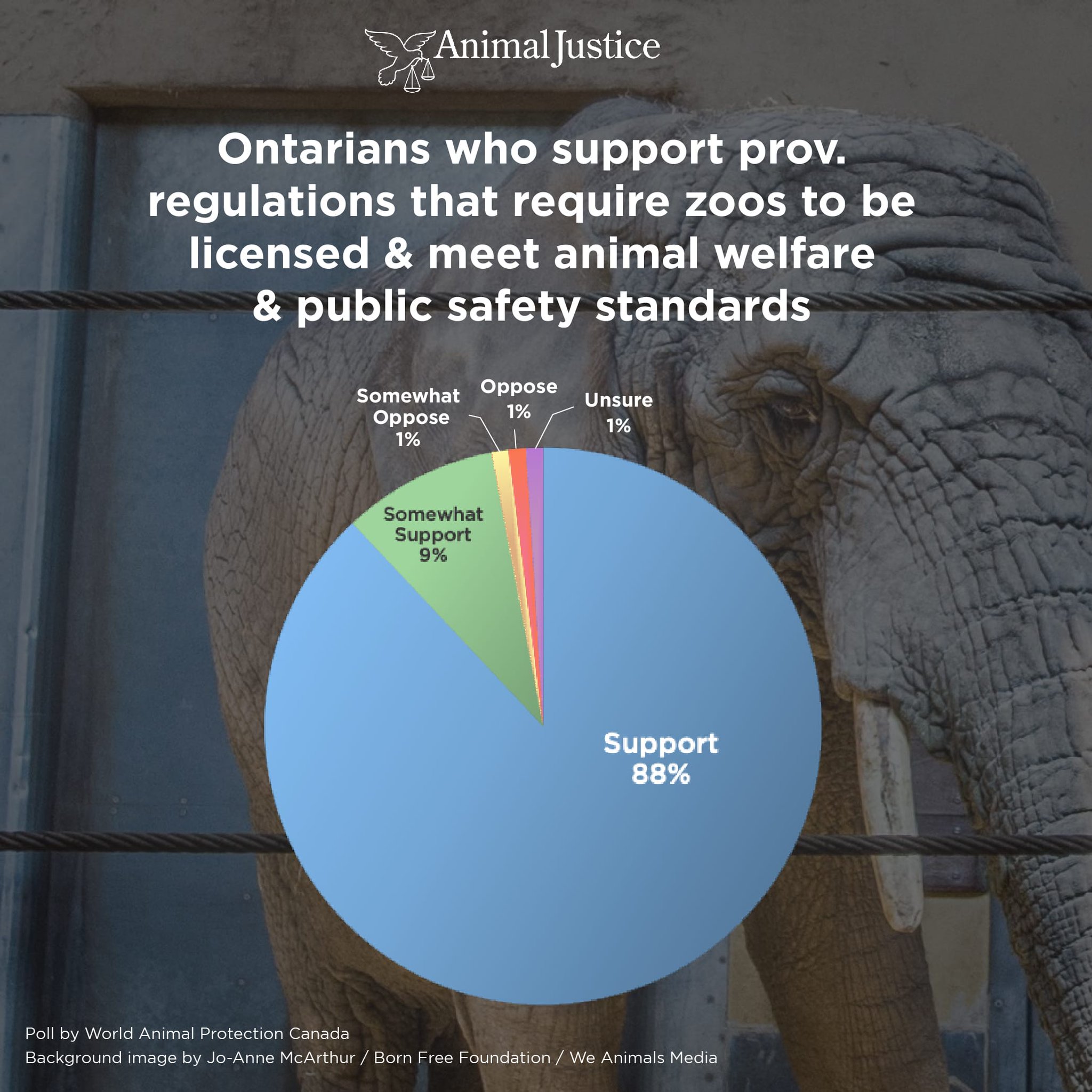 Animal Justice on Twitter "NEW A recent poll by MoveTheWorldCA shows that the vast majority