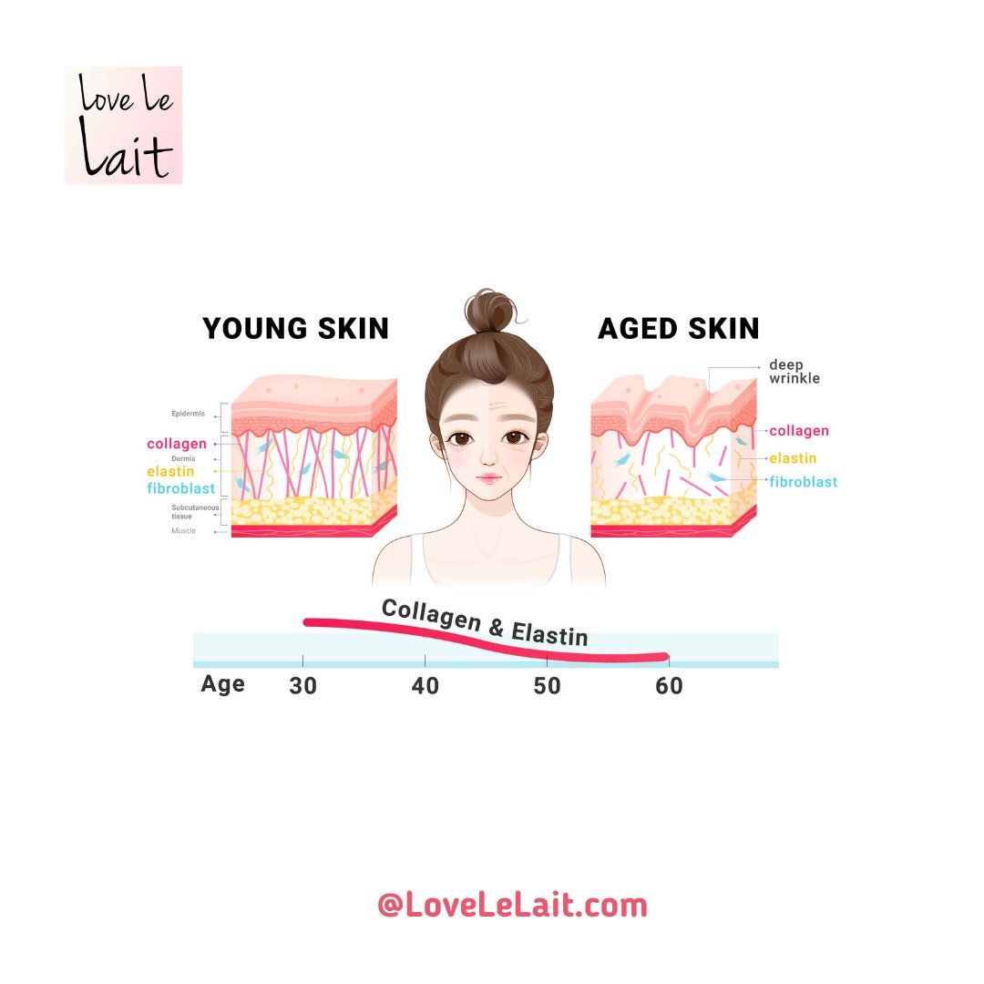 lovelelait's tweet photo. Did you know💡 
As we age our skin is actually getting thinner and it’s losing its water content and it’s losing its elasticity. When you are younger the skin is thicker and as we get older it becomes much thinner and we lose collagen, elastin, and hyaluronic acid. https://t.co/sSGEpsuuie