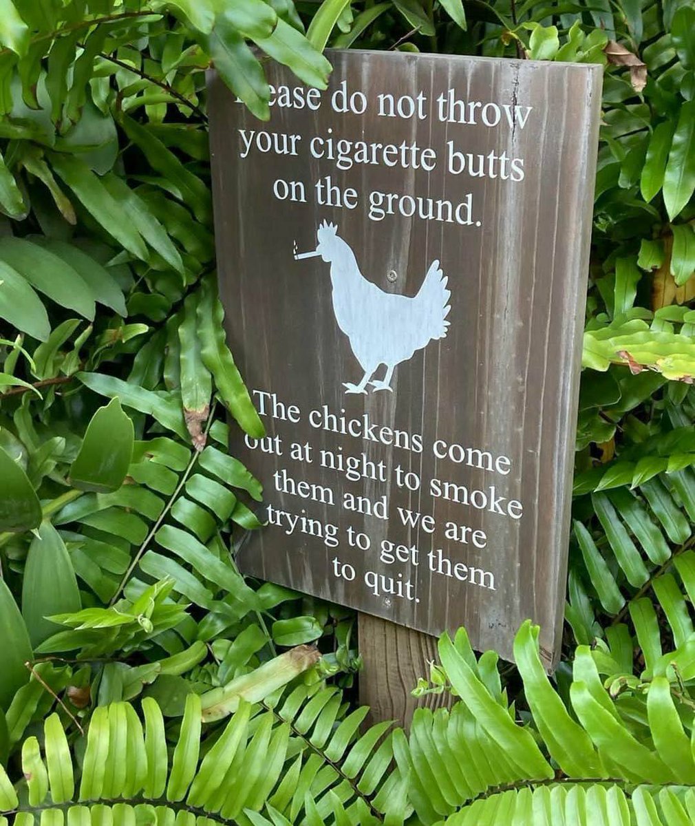 ChickenGuard™ tweet media