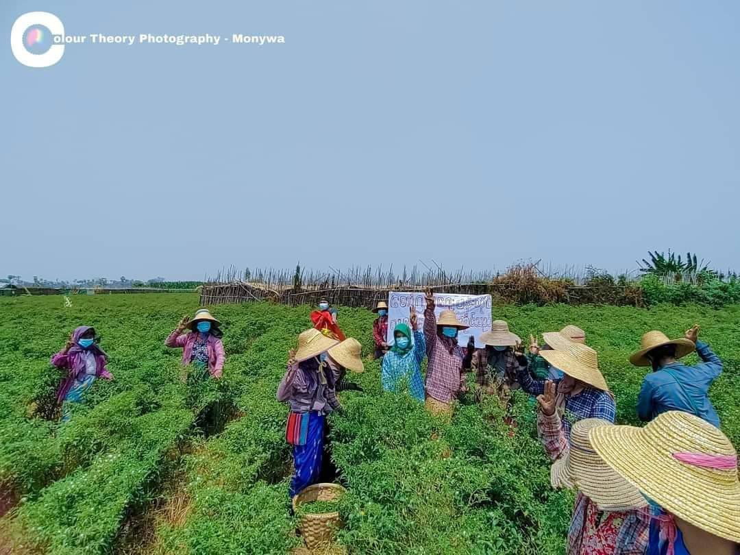 kk_jgk's tweet photo. The peaceful pro-democracy farmers from a village of Monywa-Amyint Road gathered together and staged a peaceful anti-authoritarian guerrilla strike. #2022Mar30Coup  #SaveAbducteesLives  #WhatsHappeningInMyanmar https://t.co/FFTRTYiUgh