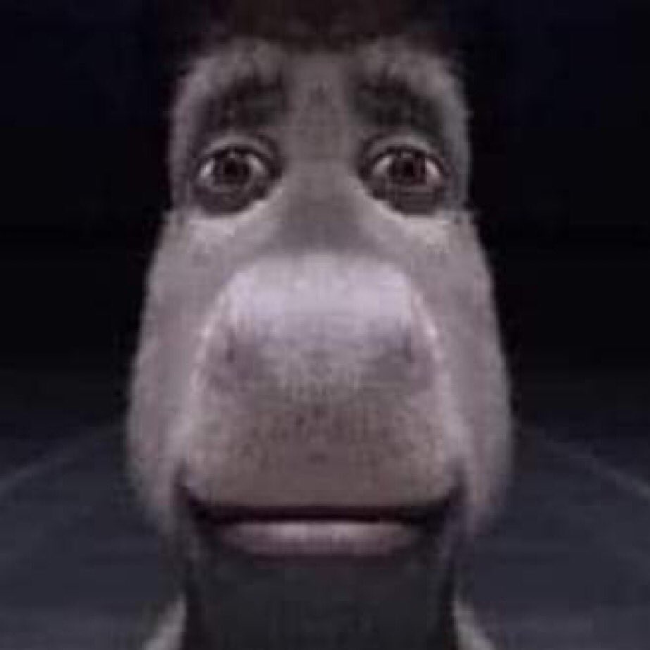 Staring Donkey  Know Your Meme