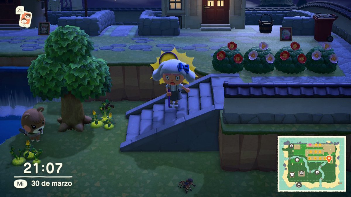 PuzzlesIsland's tweet photo. Os podéis creer que me ha picado desde la escalera estando la tarántula abajo ?? Justo como se ve en la imagen 🧐 
#AnimalCrossingNewHorizons #AnimalCrossing #ACNH https://t.co/149mOGY6Nj