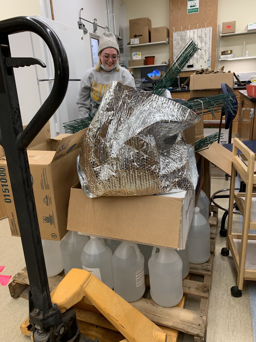 Getting ready for the field season! Getting lots of help collecting dung beetles across WV. #WVDungBeetles