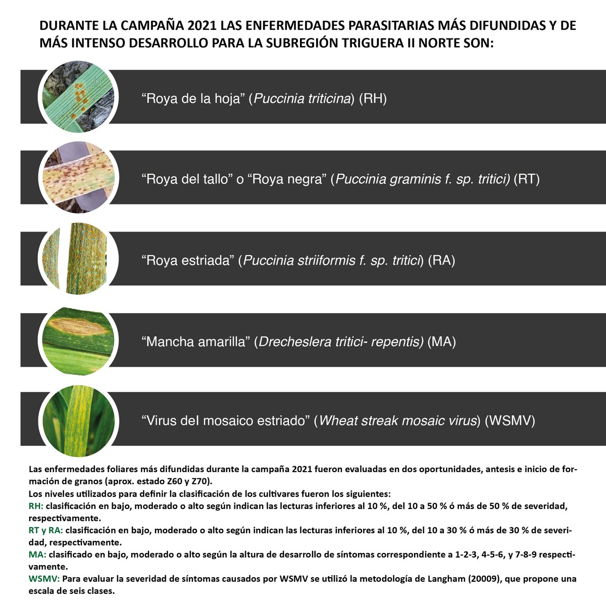 Lucía Hraste 👩🏻‍💻📲💻🐮🌾🌱 tweet media