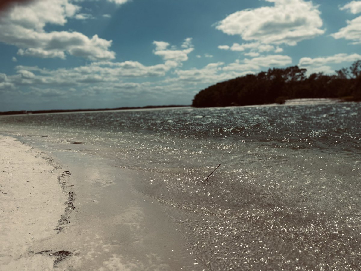 DPadilla_84's tweet photo. #BenditoMar #PicOfTheDay #NaturePhotography #SemanaSanta https://t.co/RuJadXHIn3