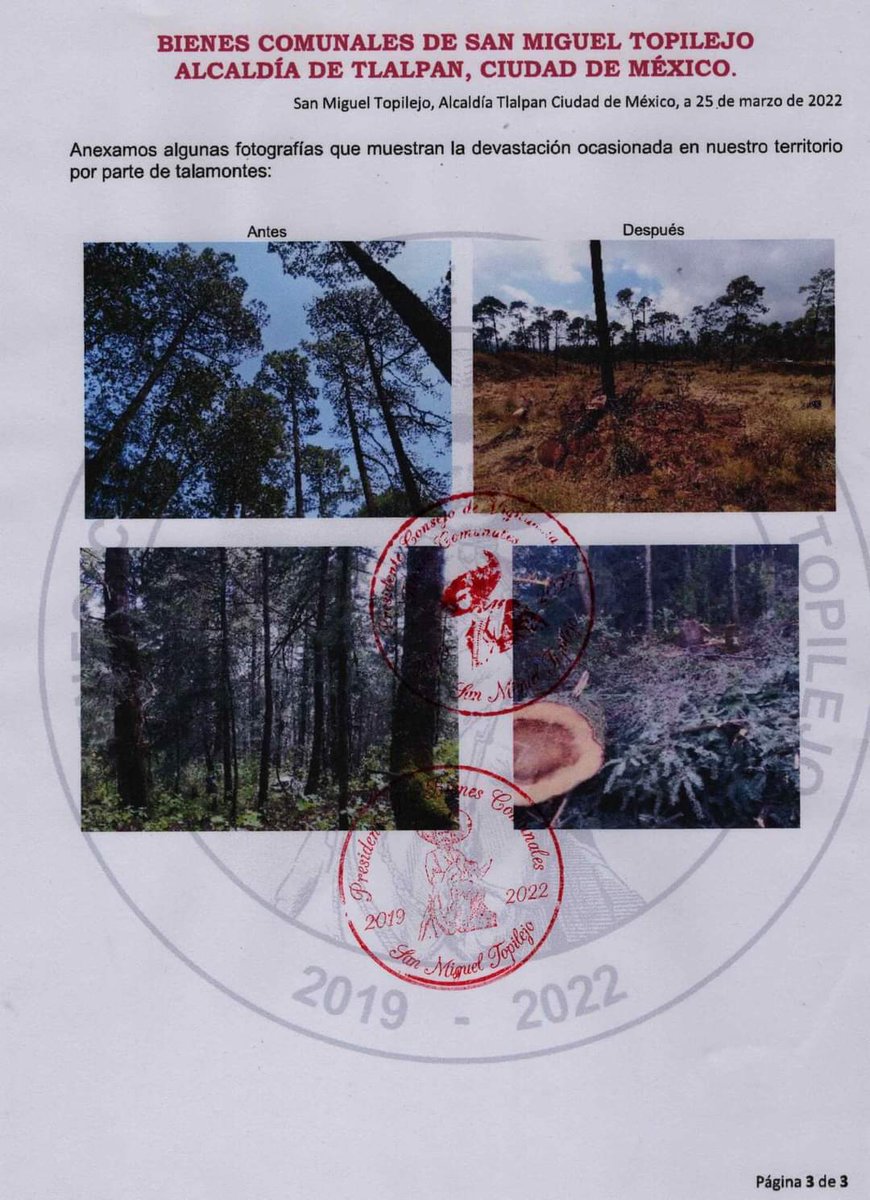 EDinamos's tweet photo. Comunicado por parte de Bienes Comunales San Miguel Topilejo:
"¡Exigimos respeto y justicia para nuestros bosques! Y para quienes día a día arriesgan sus vidas para preservarlos
“Los homicidas, son los talamontes”
¡Alto al ecocidio!"
#tlalpan
#talaclandestina #Shainbaum https://t.co/qMojoXv9wN