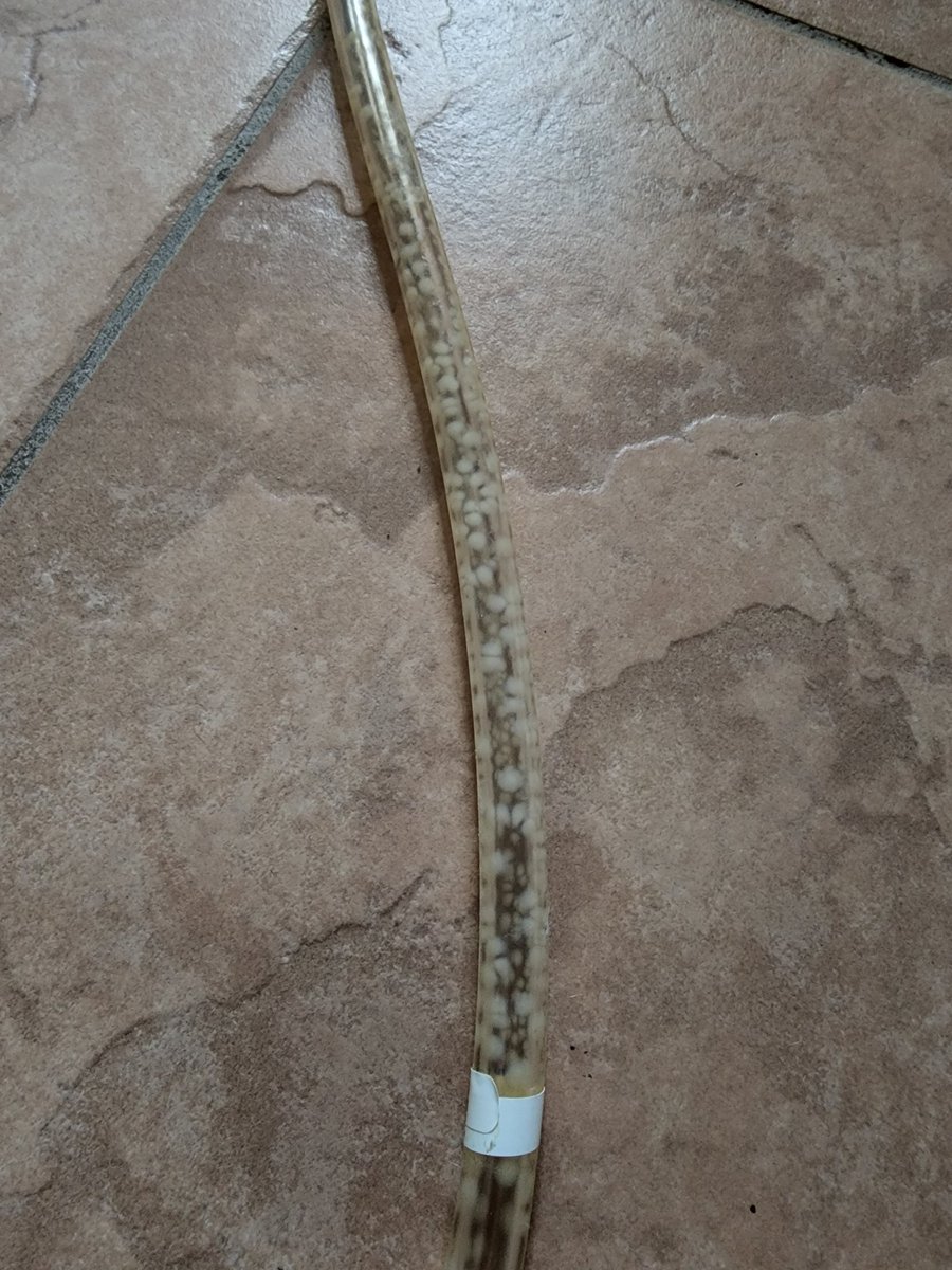 themadlou's tweet photo. @sleepnumber 

What is growing inside our air tube? 🤮 https://t.co/F2aON9JuY3