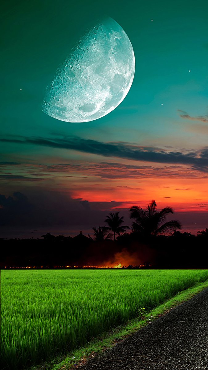 TLeoni311's tweet photo. Good night https://t.co/6yi5tZDyc1