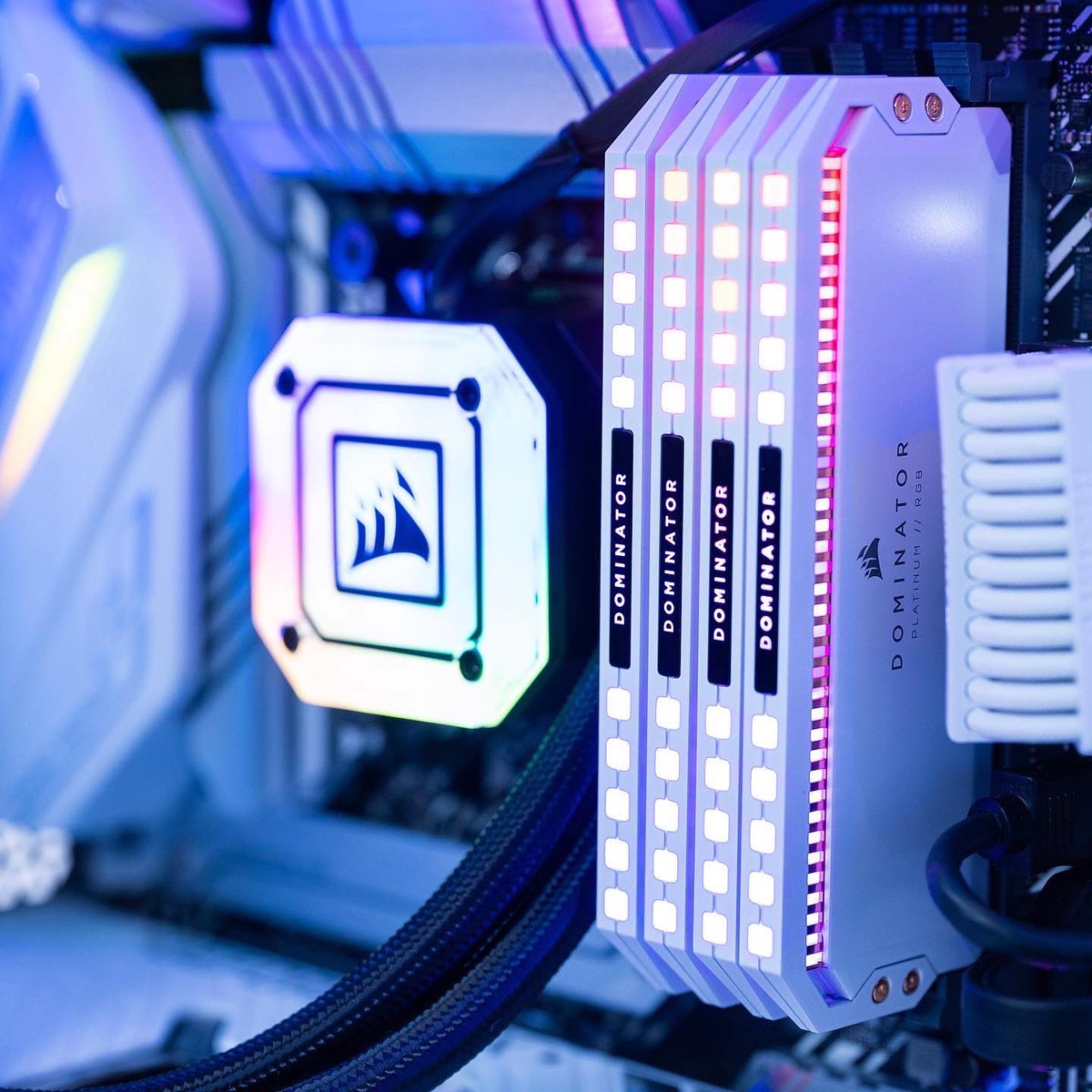 robeytech's tweet photo. Talk about a gorgeous @CORSAIR 7000x  build! 😍

Specs:
Case: @CORSAIR 7000X White
CPU: @IntelGaming Core-i9 11900K
GPU: @ASUS_ROGNA Strix 3080 White 
RAM: @CORSAIR Corsair Dominator Platinum 4000MHz C19 32GB https://t.co/TUvyW4P24B