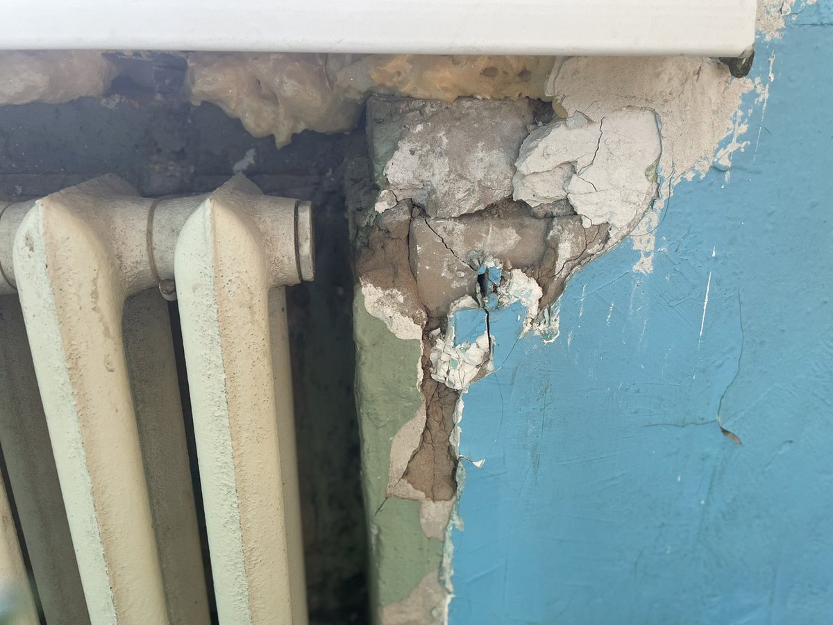 Перов Дмитрий tweet media