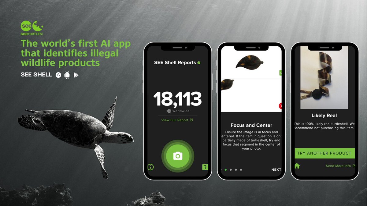 Introducing SEE Shell, the first app to use AI to fight the tortoiseshell trade! The app allows users to ID and avoid these products. Find it in the app stores and learn more here: seeturtles.org/see-shell

Thanks to <a href="/Coral_Triangle/">WWF Coral Triangle</a> <a href="/WWFLeadOceans/">WWF Oceans 🌊</a> <a href="/NextEarth_/">Next Earth</a> and <a href="/lushcosmetics/">Lush North America</a>