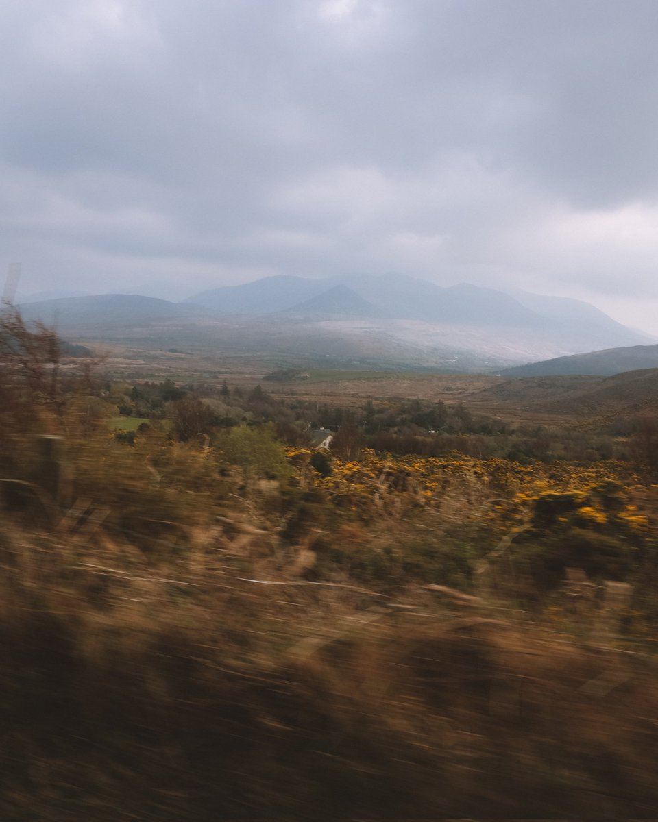 Freelensers's tweet photo. Morceaux d'Irlande 🧶

Avril 2022 https://t.co/V5lZ00gcDB