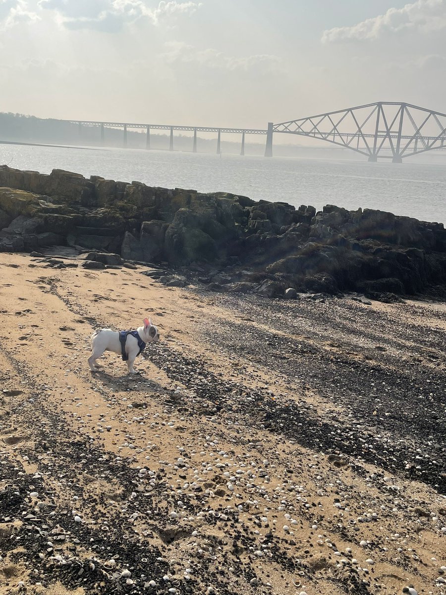 YuptyFN's tweet image. 