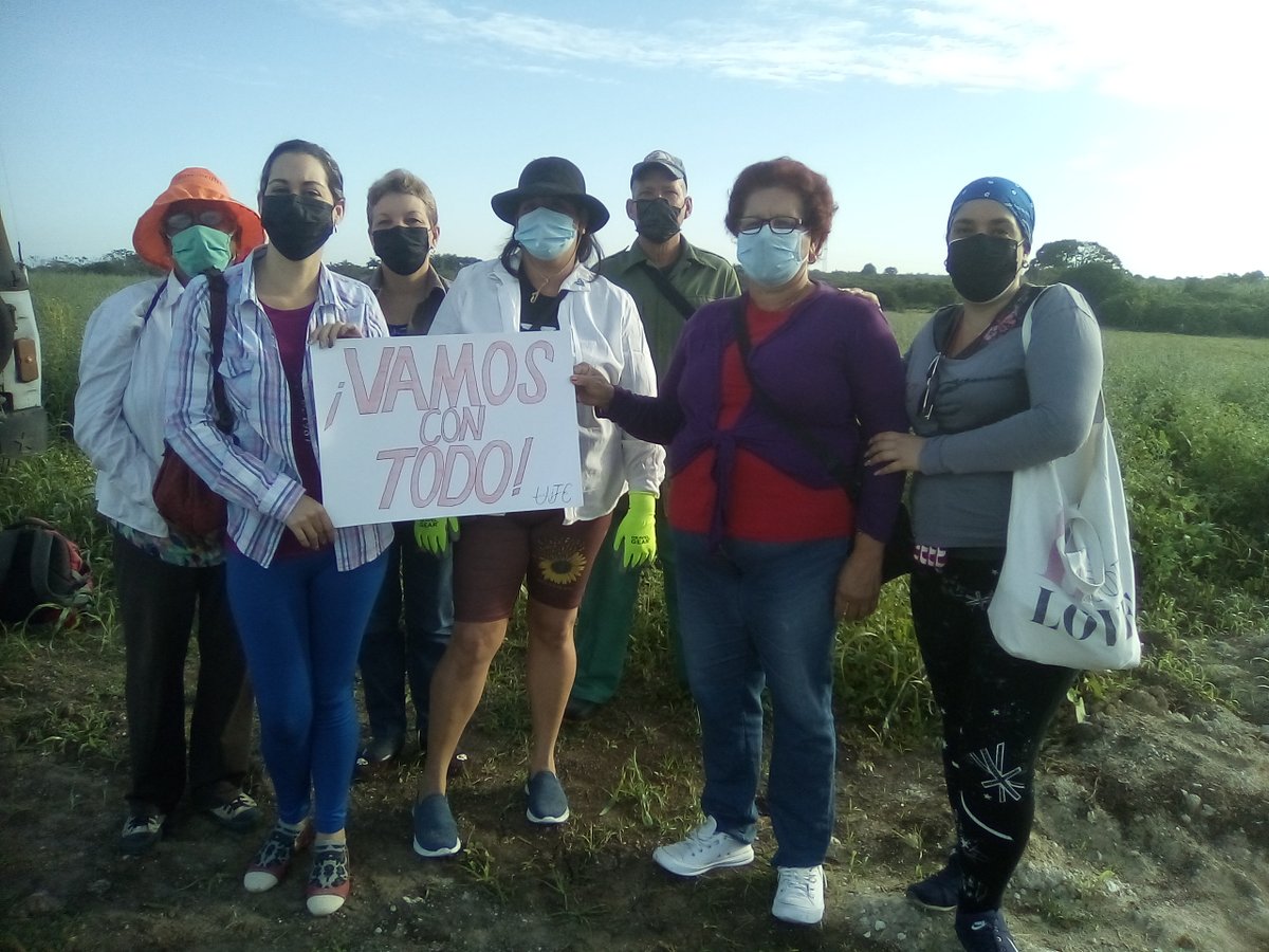 villacons's tweet photo. Los trabajadores de la Empresa de Construcción y Montaje de Villa Clara #VamosConTodo y realizamos labores productivas de recogida de papas en el valle del Yabú de #SantaClara, en saludo al 60 Aniversario de la UJC y el 61 Aniversario de la OPJM. #HacemosCuba #SoyVillaClara https://t.co/mpL2ahfxNo